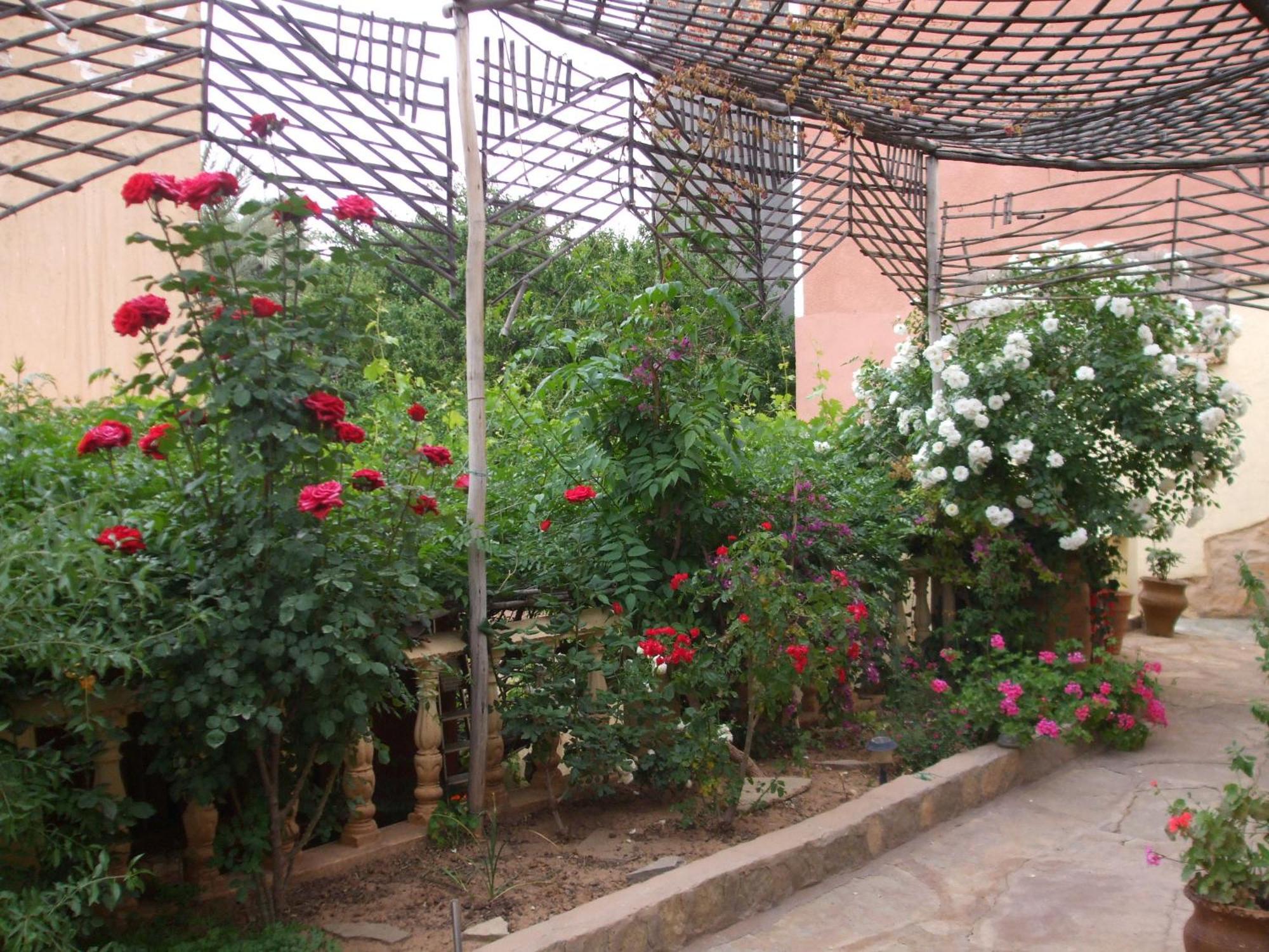Palmeraie Guest House Tinghir Екстериор снимка